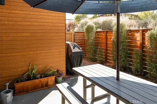 a view of a forest with trees in the background
