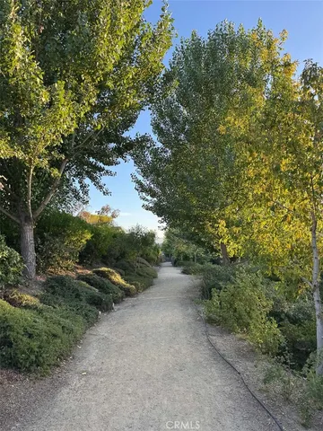 a view of a garden with plants
