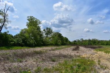 5041 South State Rte 157 Edwardsville, IL 62025 - Photo 1 of 8