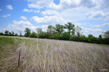 5041 South State Rte 157 Edwardsville, IL 62025 - Photo 2 of 8