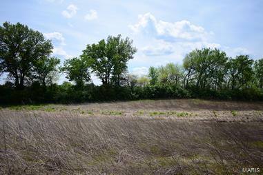 5041 South State Rte 157 Edwardsville, IL 62025 - Photo 3 of 8