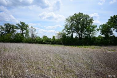 5041 South State Rte 157 Edwardsville, IL 62025 - Photo 4 of 8