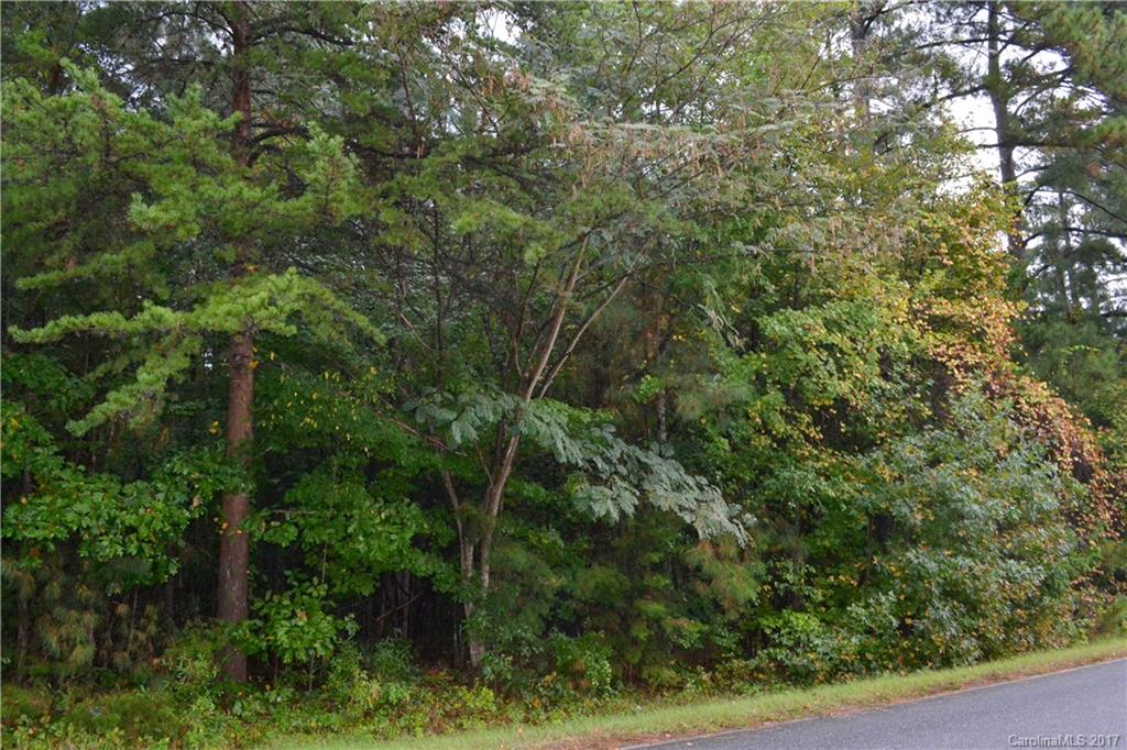 45 Webbs Chapel Church Road, Unit 45 Denver, NC 28037 - Photo 1 of 10 Gallery Image 1