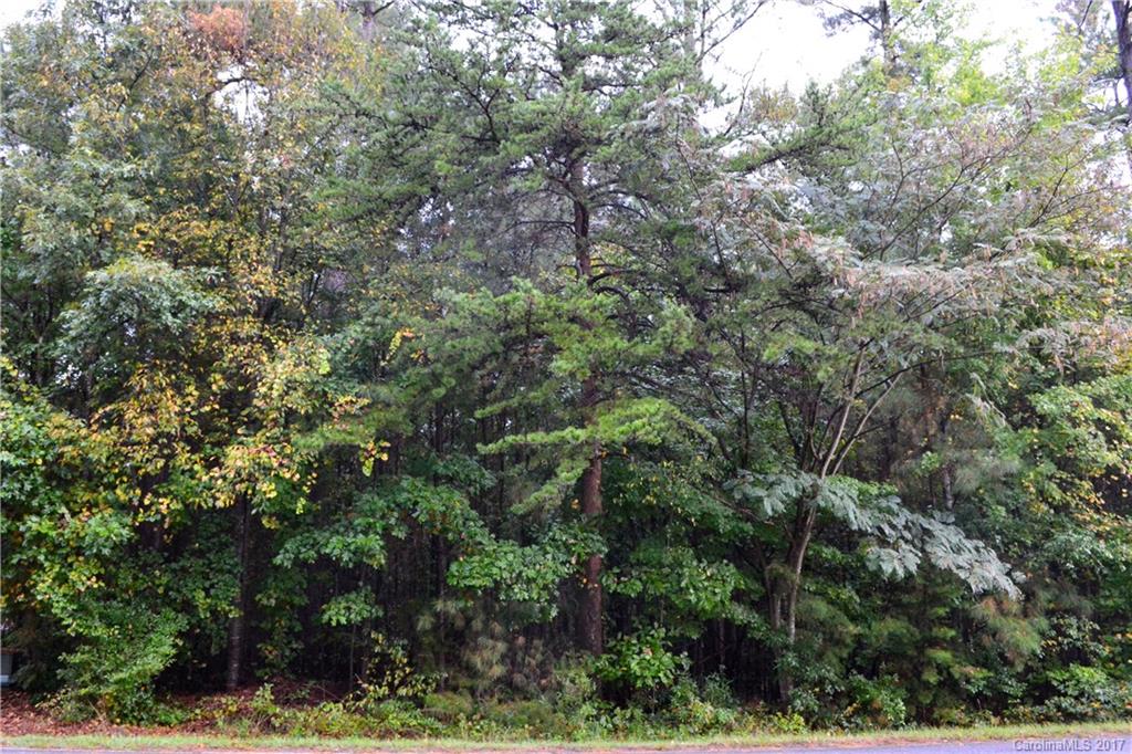 45 Webbs Chapel Church Road, Unit 45 Denver, NC 28037 - Photo 3 of 10 Gallery Image 3
