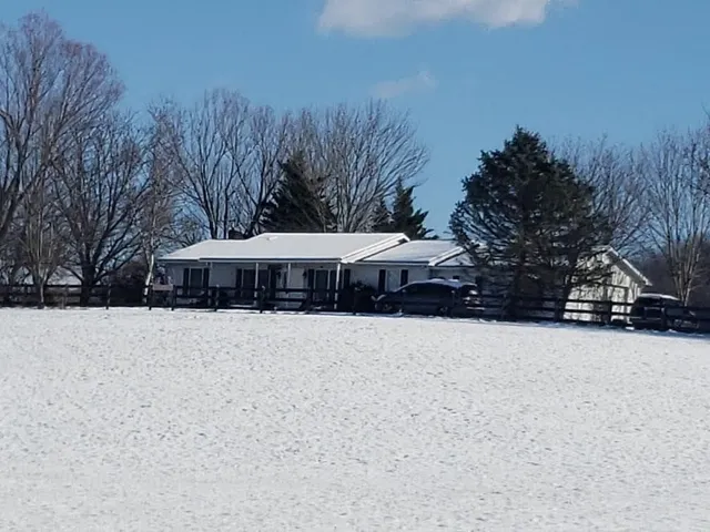 a dinning room with furniture and a potted plant