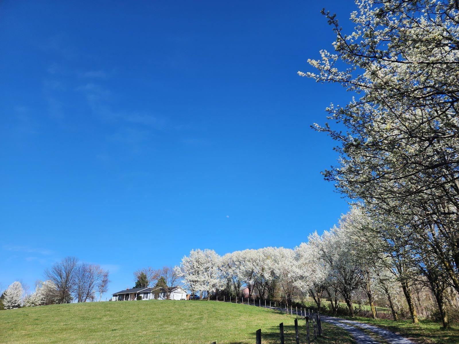 4083 Rockfish Road Grottoes, VA 24441 - Photo 4 of 8
