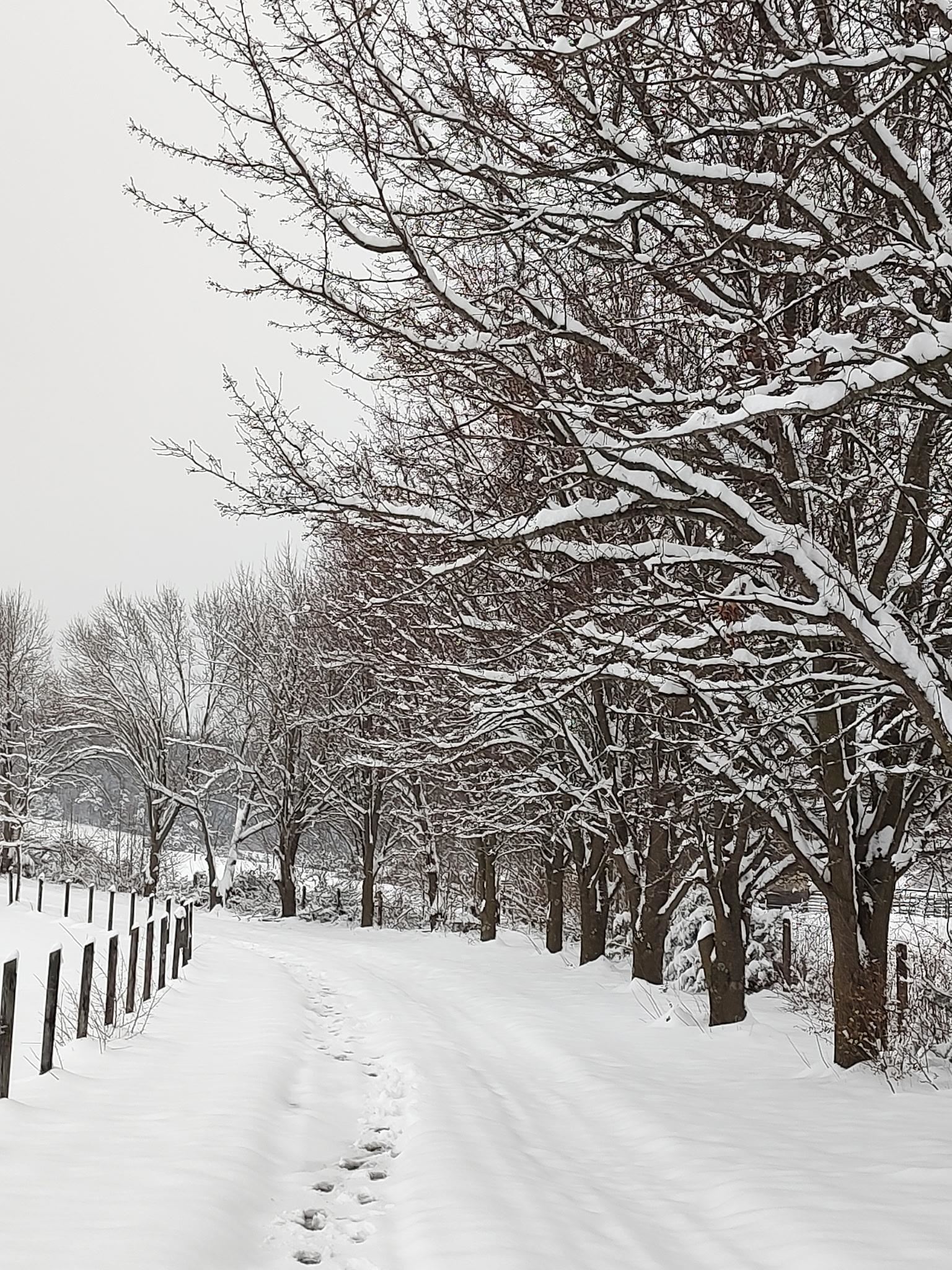 4083 Rockfish Road Grottoes, VA 24441 - Photo 6 of 8