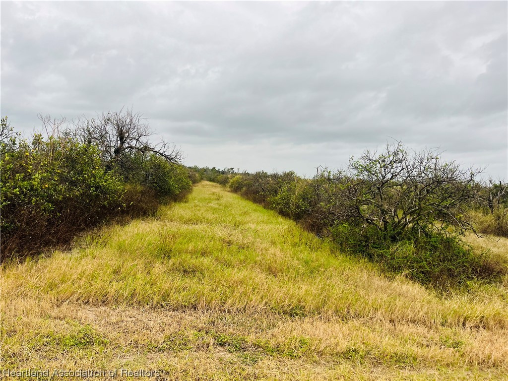 0 Alec Hendry Road Wauchula, FL 33873 - Photo 3 of 4 Gallery Image 3