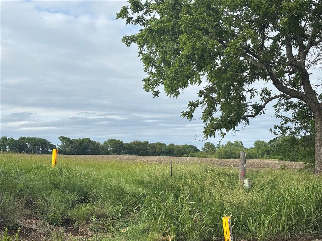 169 Highway Spring Hill Spring Hill, KS 66083 - Photo 4 of 4