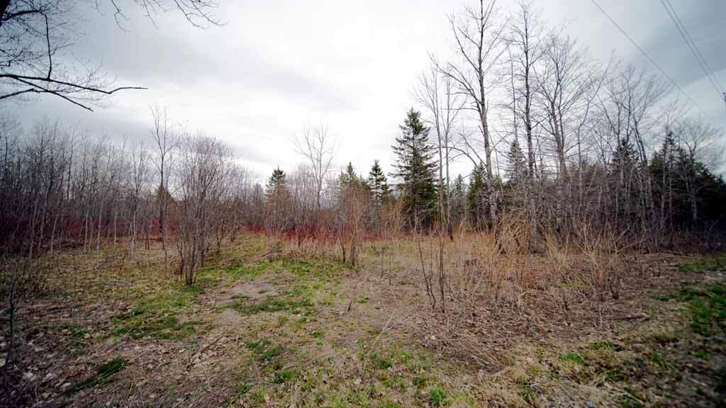 Lot 4 Green Road Houlton, ME 04730 - Photo 56 of 58 maine-land-green-lot-4