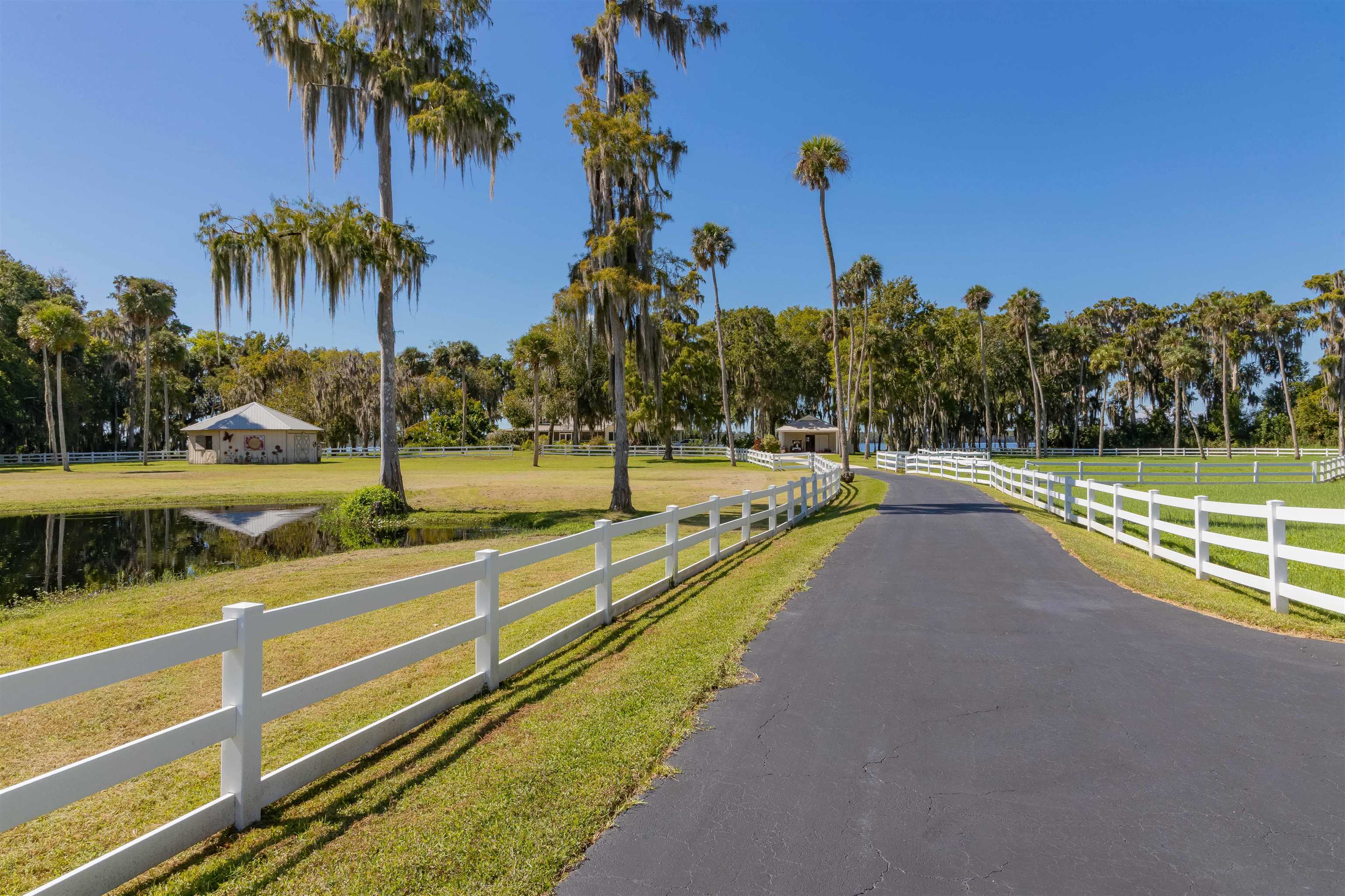 141 Wooten Rd Crescent Crescent City, FL 32112 - Photo 12 of 72 a view of a swimming pool with a lawn chairs and palm trees