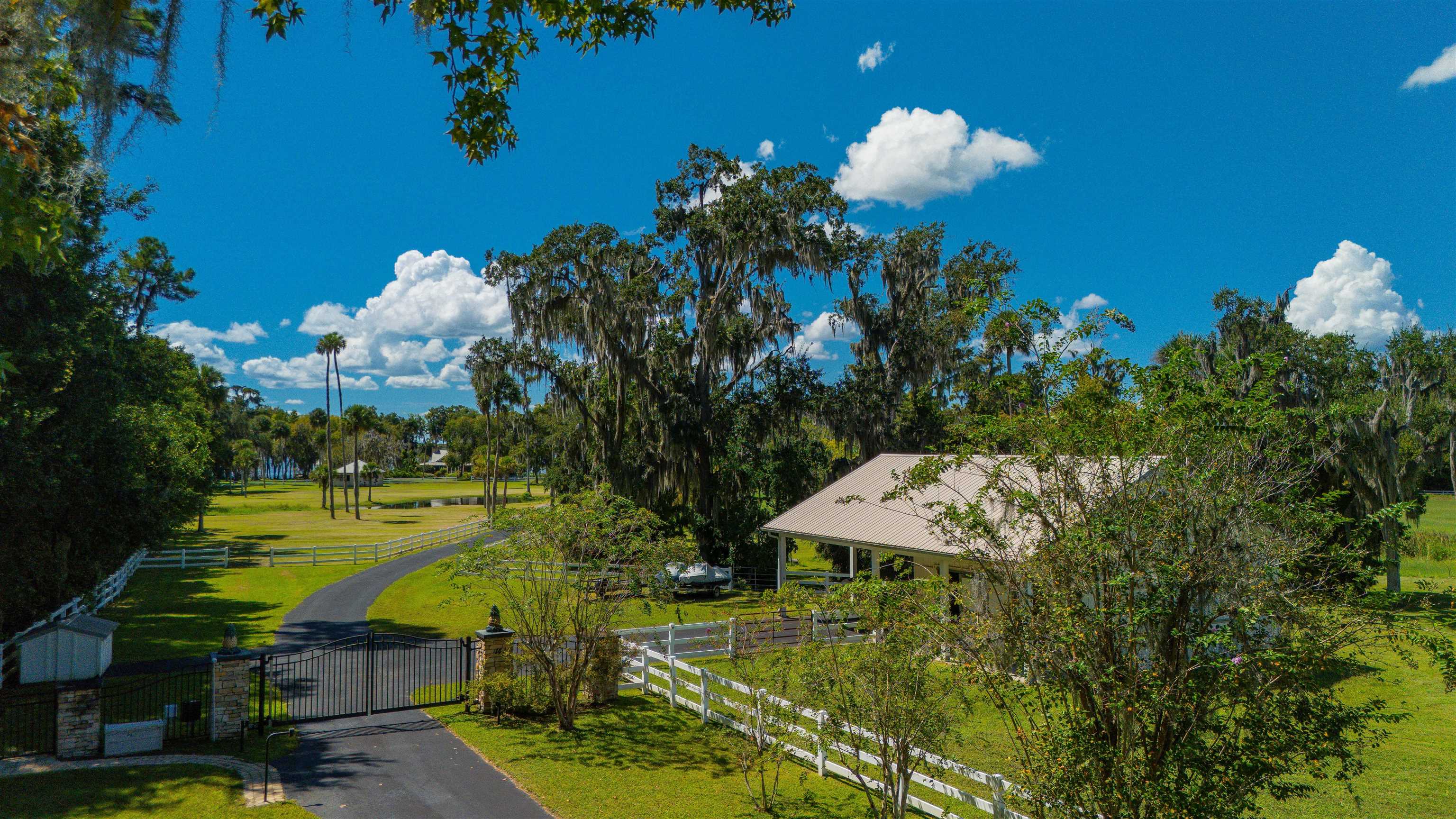 141 Wooten Rd Crescent Crescent City, FL 32112 - Photo 6 of 72 a view of a flower in a garden