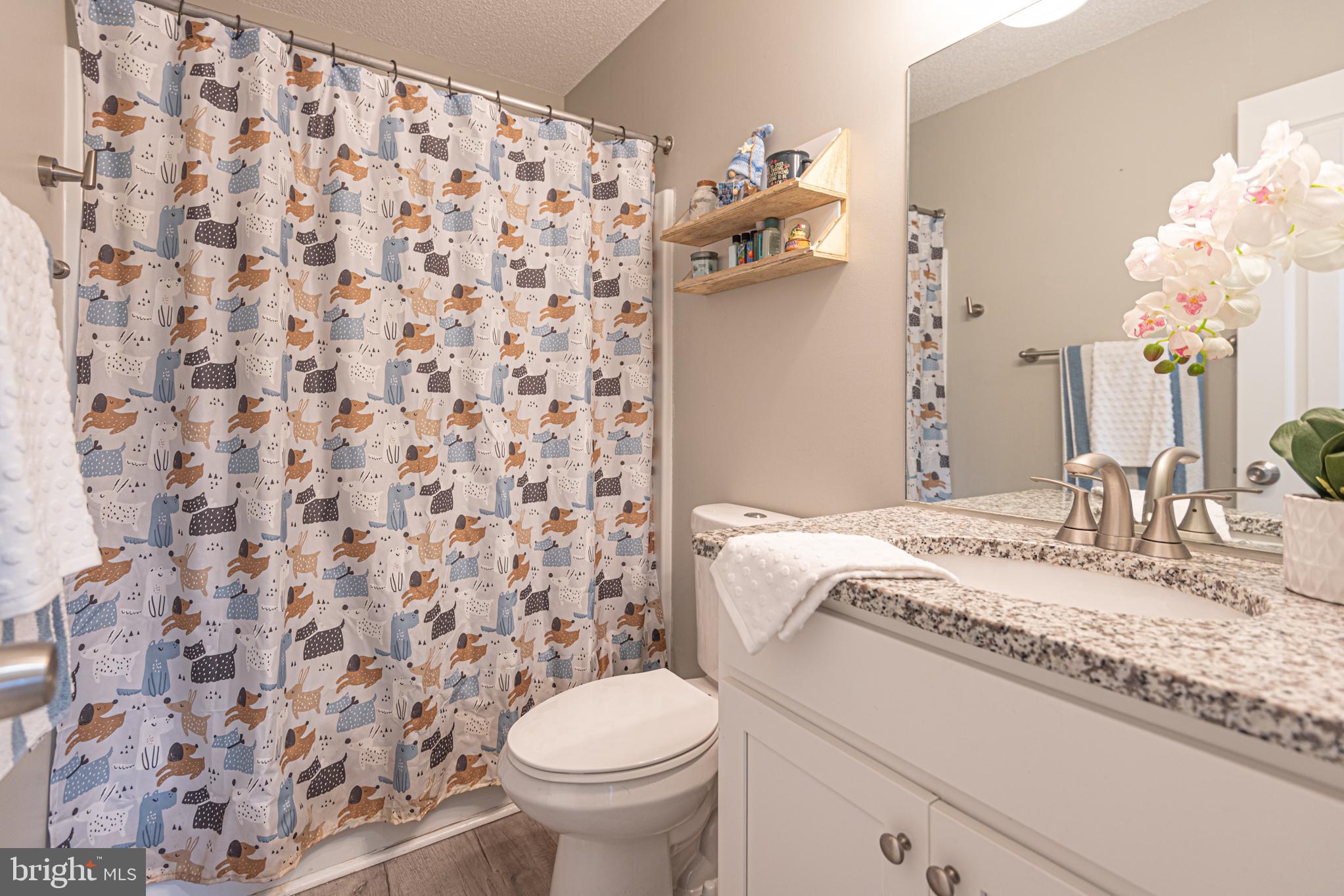 4 Franklin Square Berlin, MD 21811 - Photo 41 of 56 guest bath