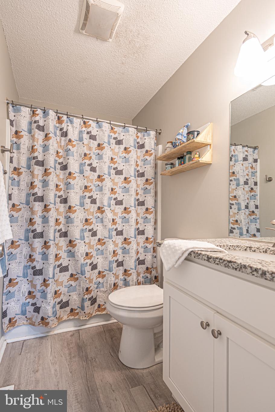 4 Franklin Square Berlin, MD 21811 - Photo 42 of 56 guest bath