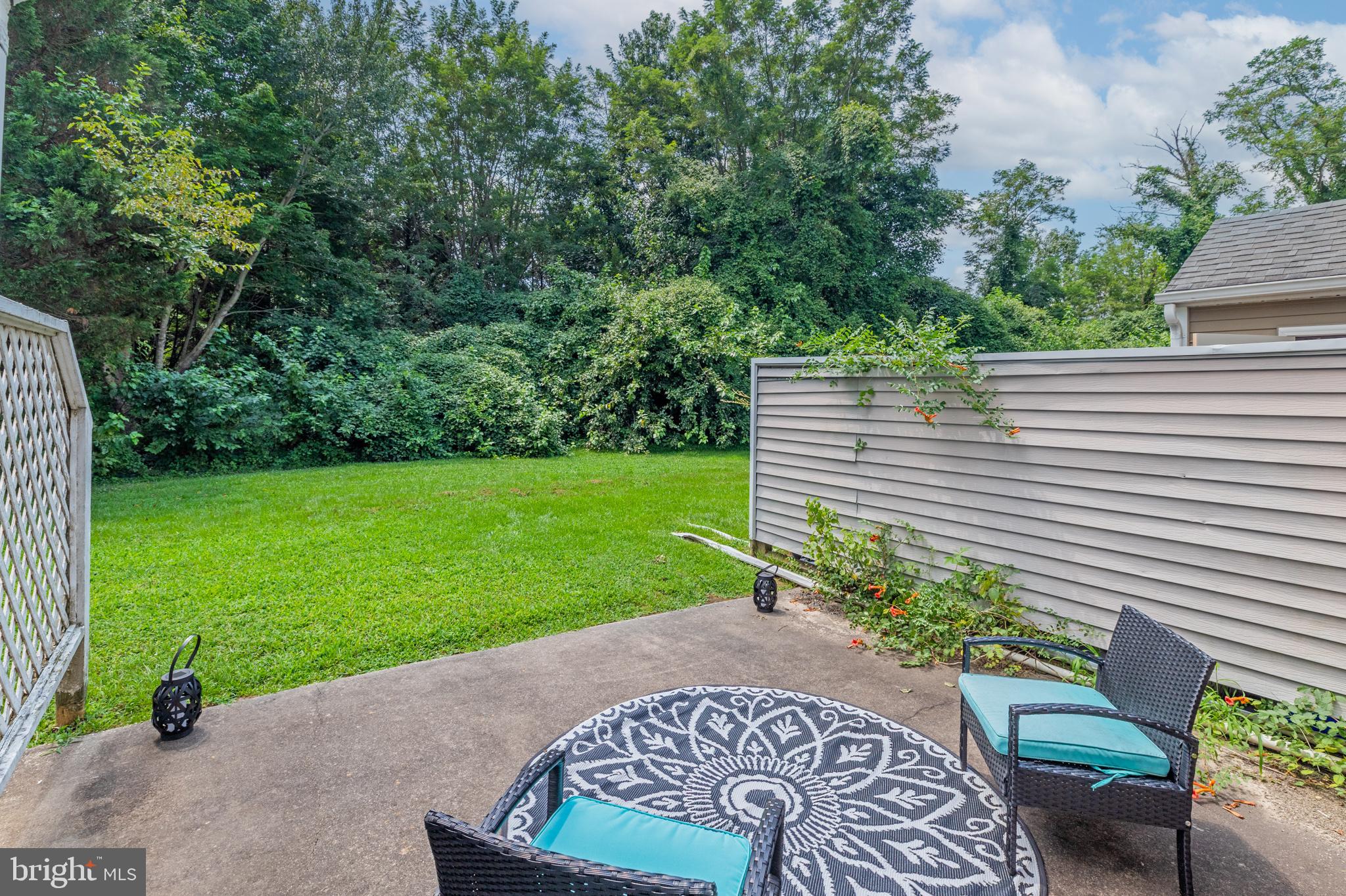 4 Franklin Square Berlin, MD 21811 - Photo 48 of 56 Back yard