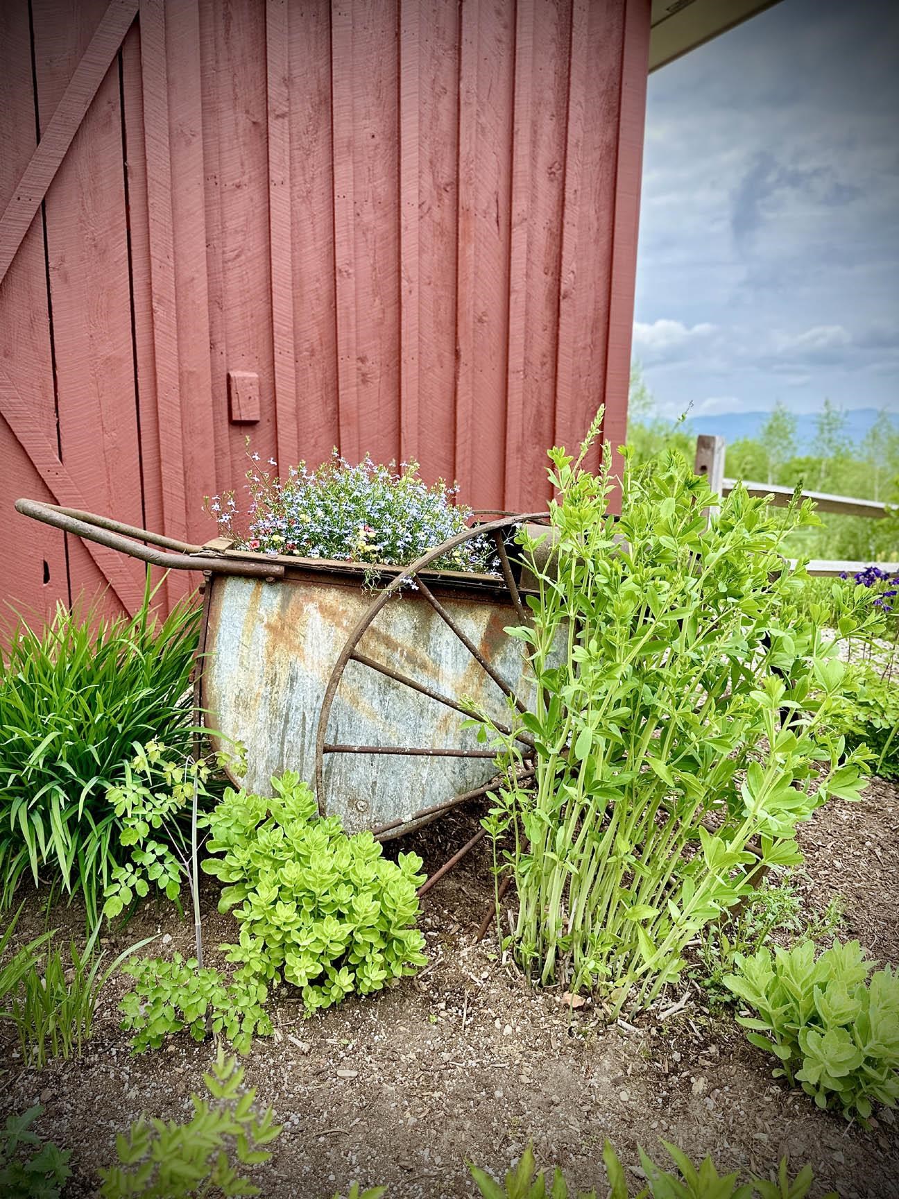 94 Mandi Lane Bristol, NH 03222 - Photo 23 of 23