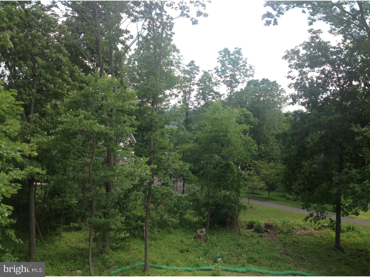 1215 North Ridge Road Perkasie, PA 18944 - Photo 28 of 34 View from Rear Deck 2