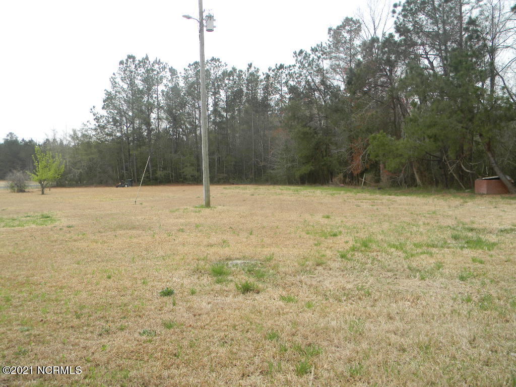 807 Grimsley Road Council, NC 28434 - Photo 21 of 23 DSCN1344