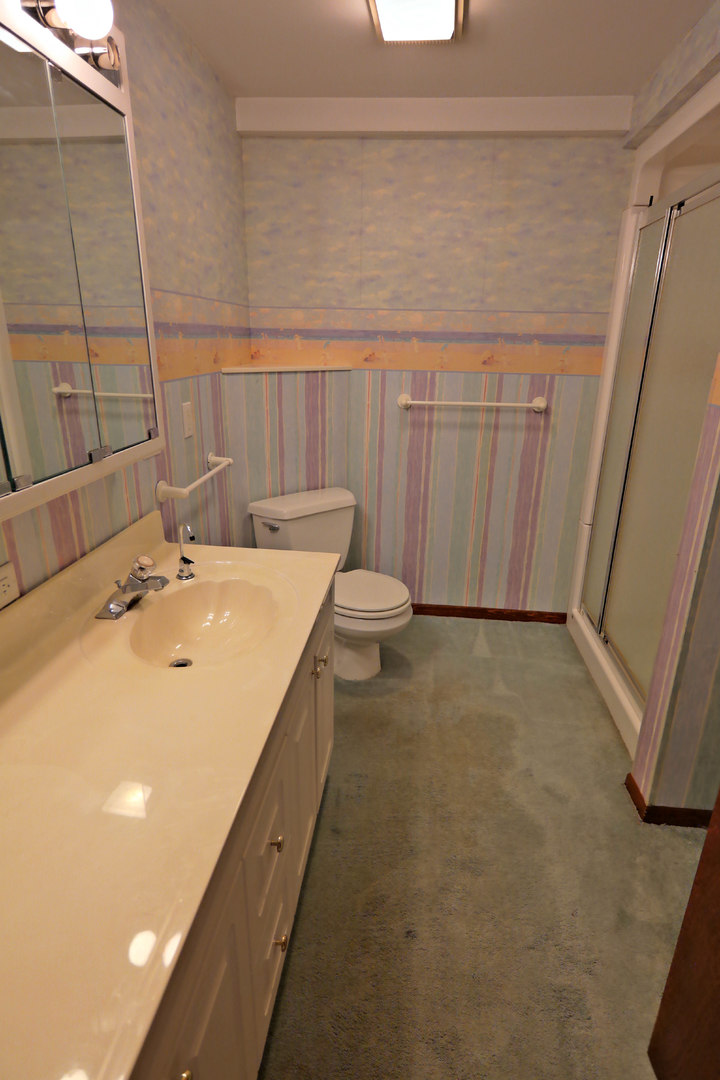 12005 Maple Avenue Hebron, IL 60034 - Photo 19 of 28 a bathroom with a sink a toilet and shower