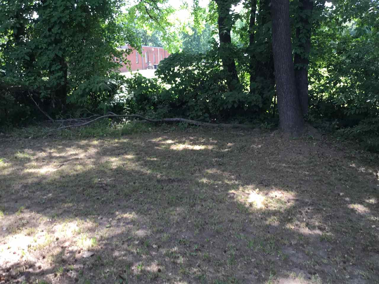 3565 Fox Meadows Road Memphis, TN 38115 - Photo 2 of 9 Gallery Image 2