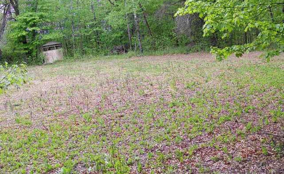 6818 460th Street Harris, MN 55032 - Photo 9 of 14