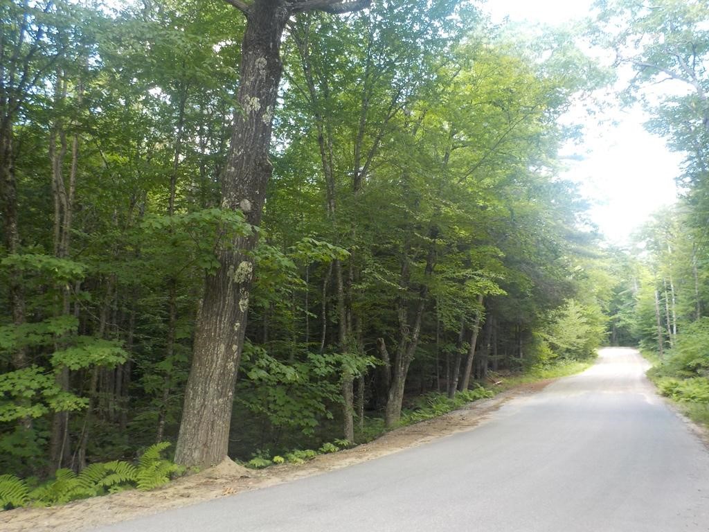 Lot 4 Straits Road New Hampton, NH 03256 - Photo 2 of 5