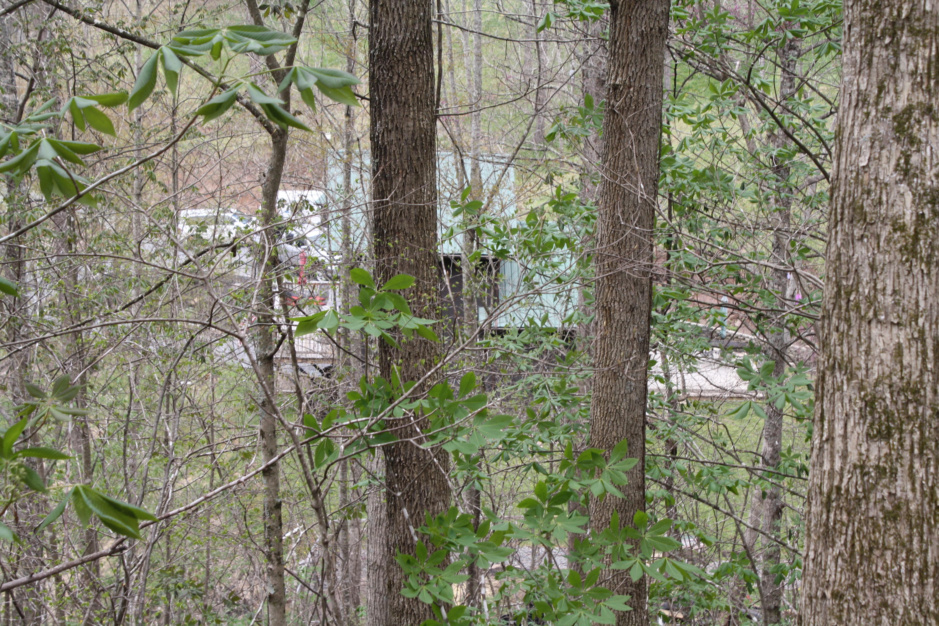 2355 Nickells Mill Road Ronceverte, WV 24970 - Photo 84 of 91 Gallery Image 84
