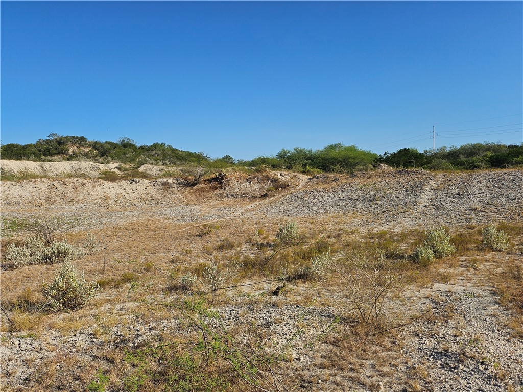 24024 441st Circle Mathis, TX 78368 - Photo 38 of 57 Gallery Image 38
