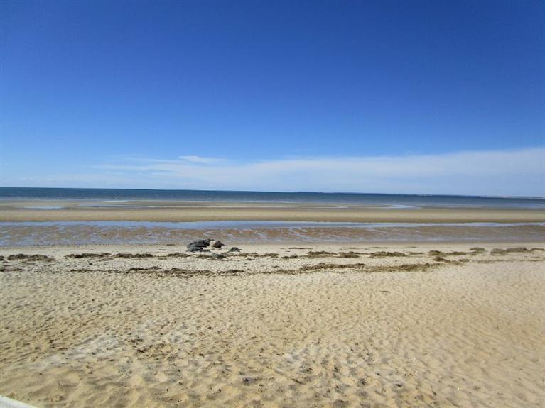 0 Hob-Nob Road Brewster, MA 02631 - Photo 3 of 10 Additional Photo