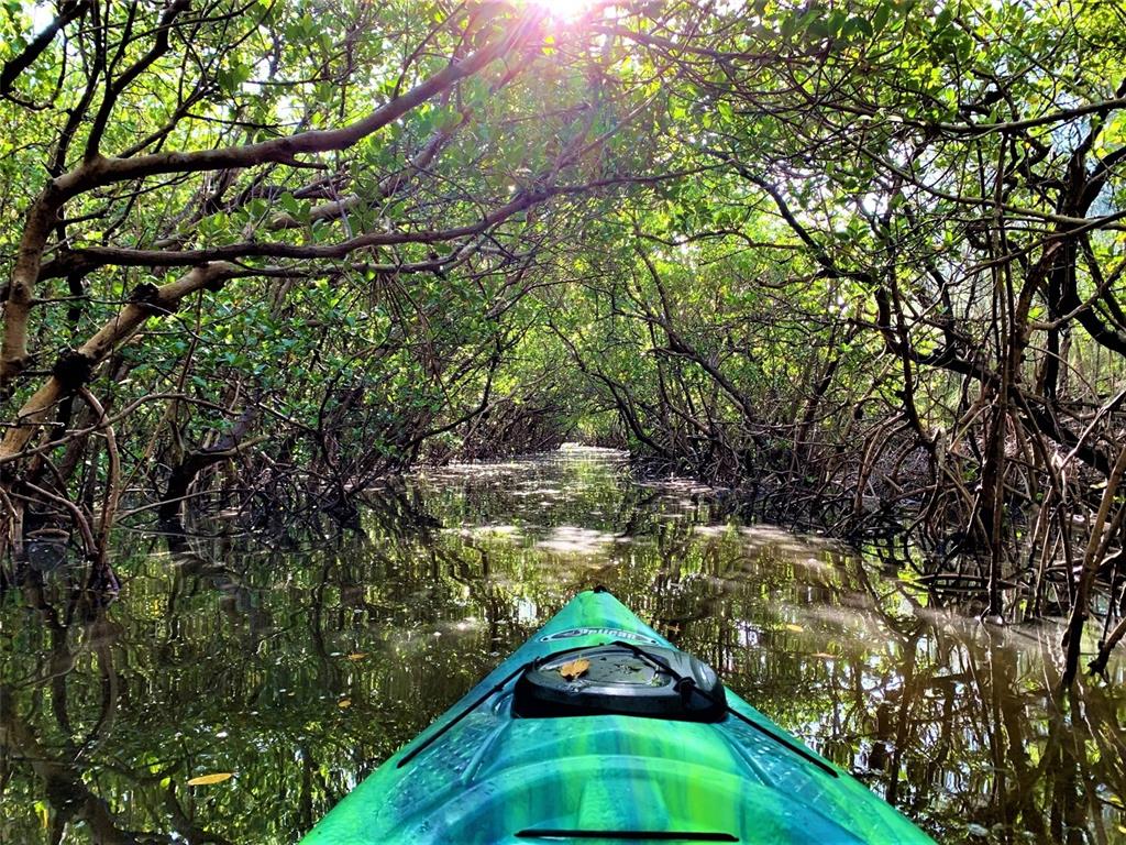7325 Holly Road Terra Ceia, FL 34250 - Photo 69 of 80