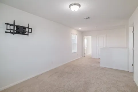 a bathroom with a shower and a toilet
