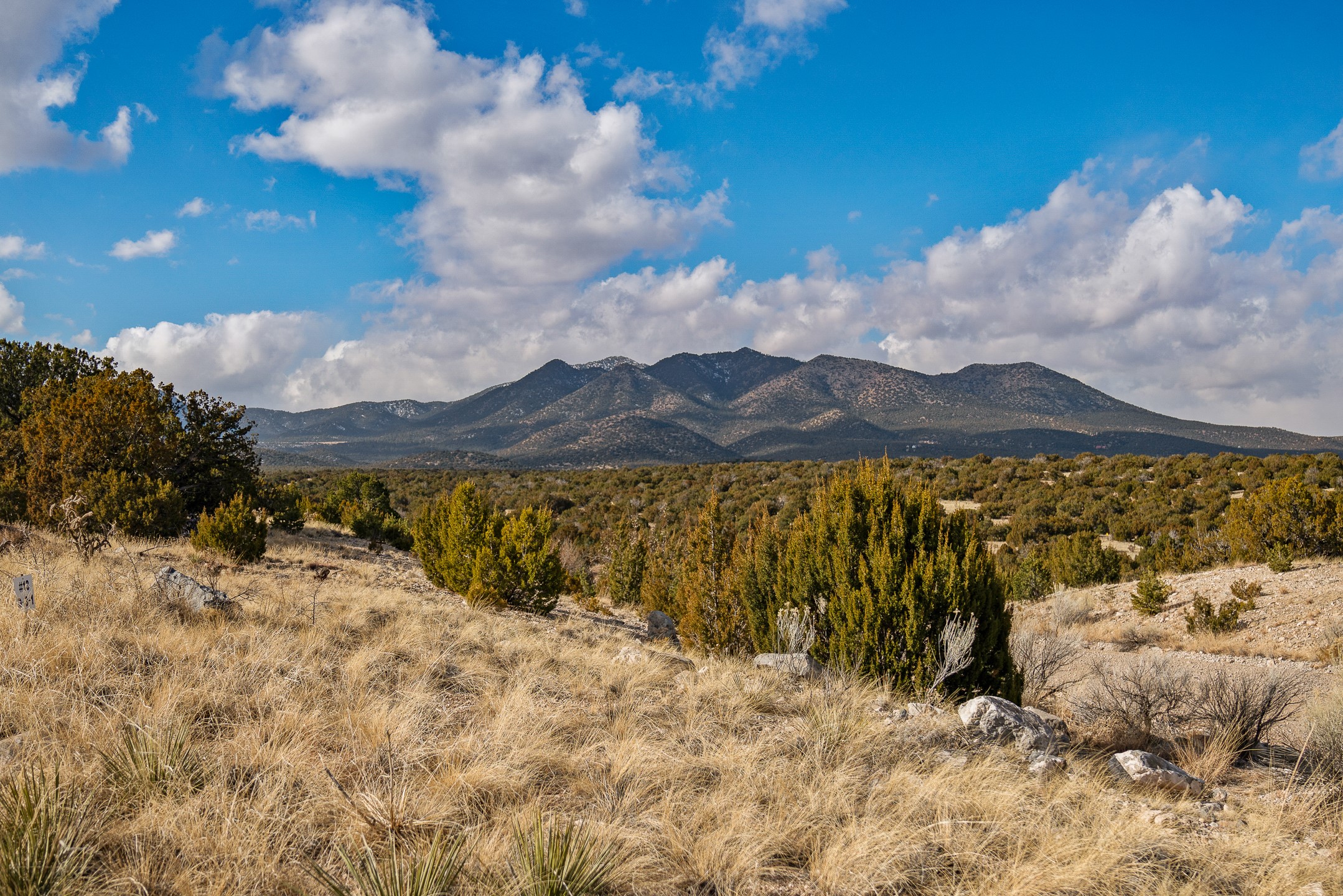 156 Wagon Trail Road Cerrillos, NM 87010 - Photo 5 of 24