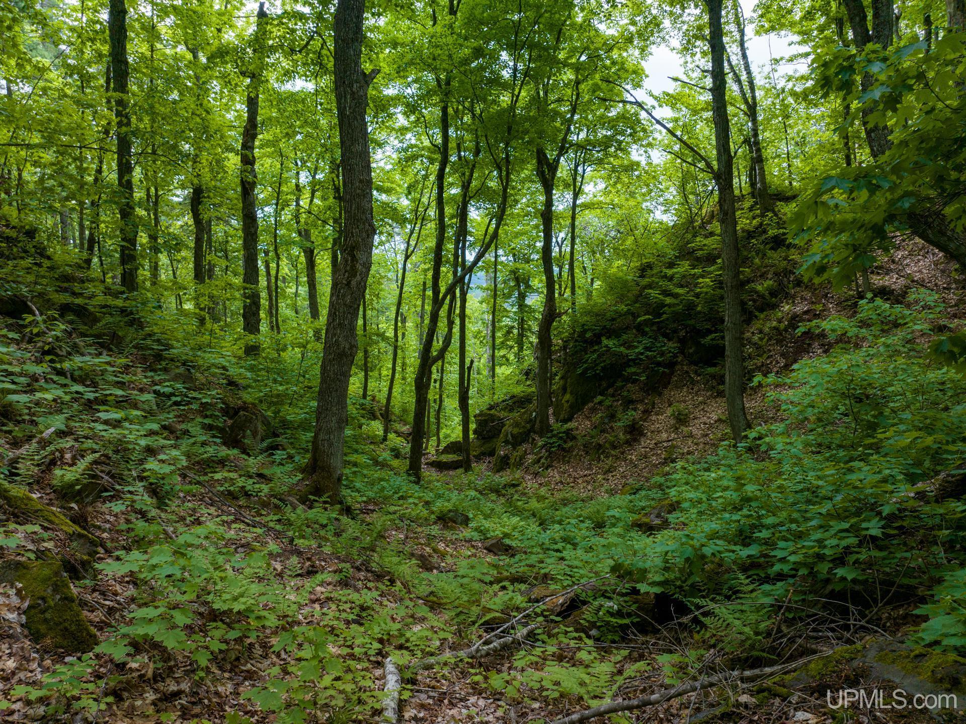 Tbd Tbd Co Road Negaunee, MI 49866 - Photo 26 of 47