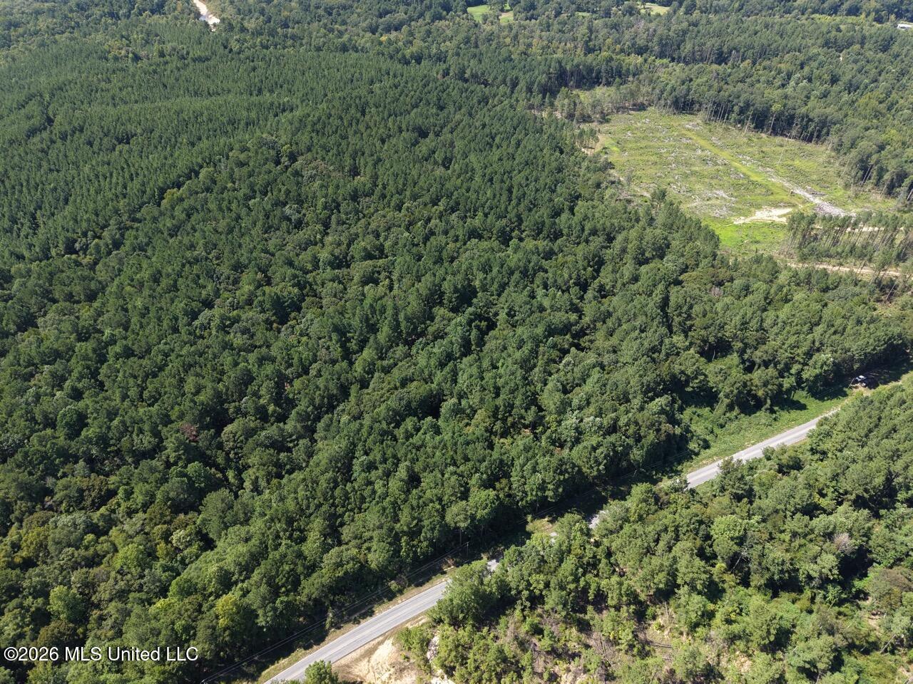 1669 Burt Jordan Road McCall Creek, MS 39647 - Photo 7 of 40 DJI_20260812152532_0084_D Large