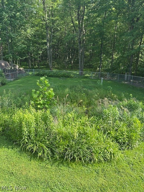 2228 Croydon Road Twinsburg, OH 44087 - Photo 18 of 18 Backyard