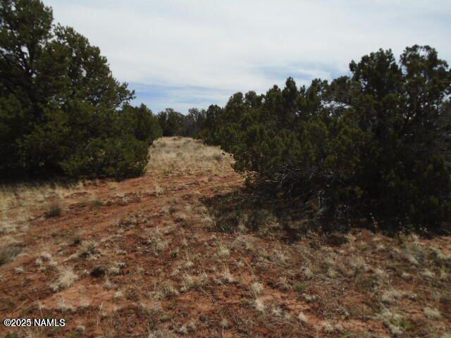 4089 East Oakdale Road Williams, AZ 86046 - Photo 1 of 11