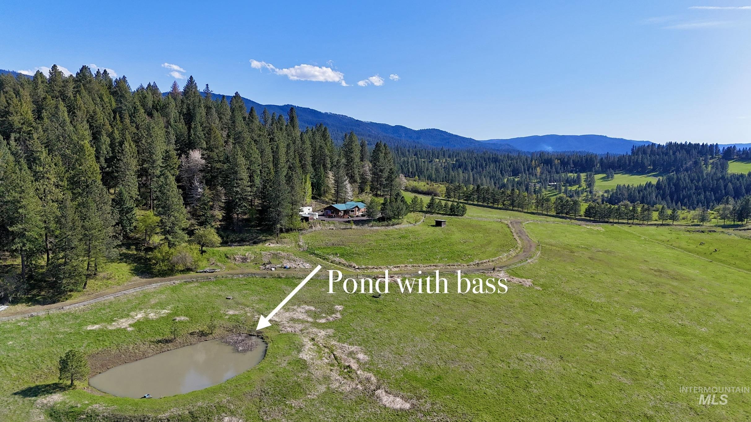 263 Sill Creek Road Stites, ID 83552 - Photo 3 of 49