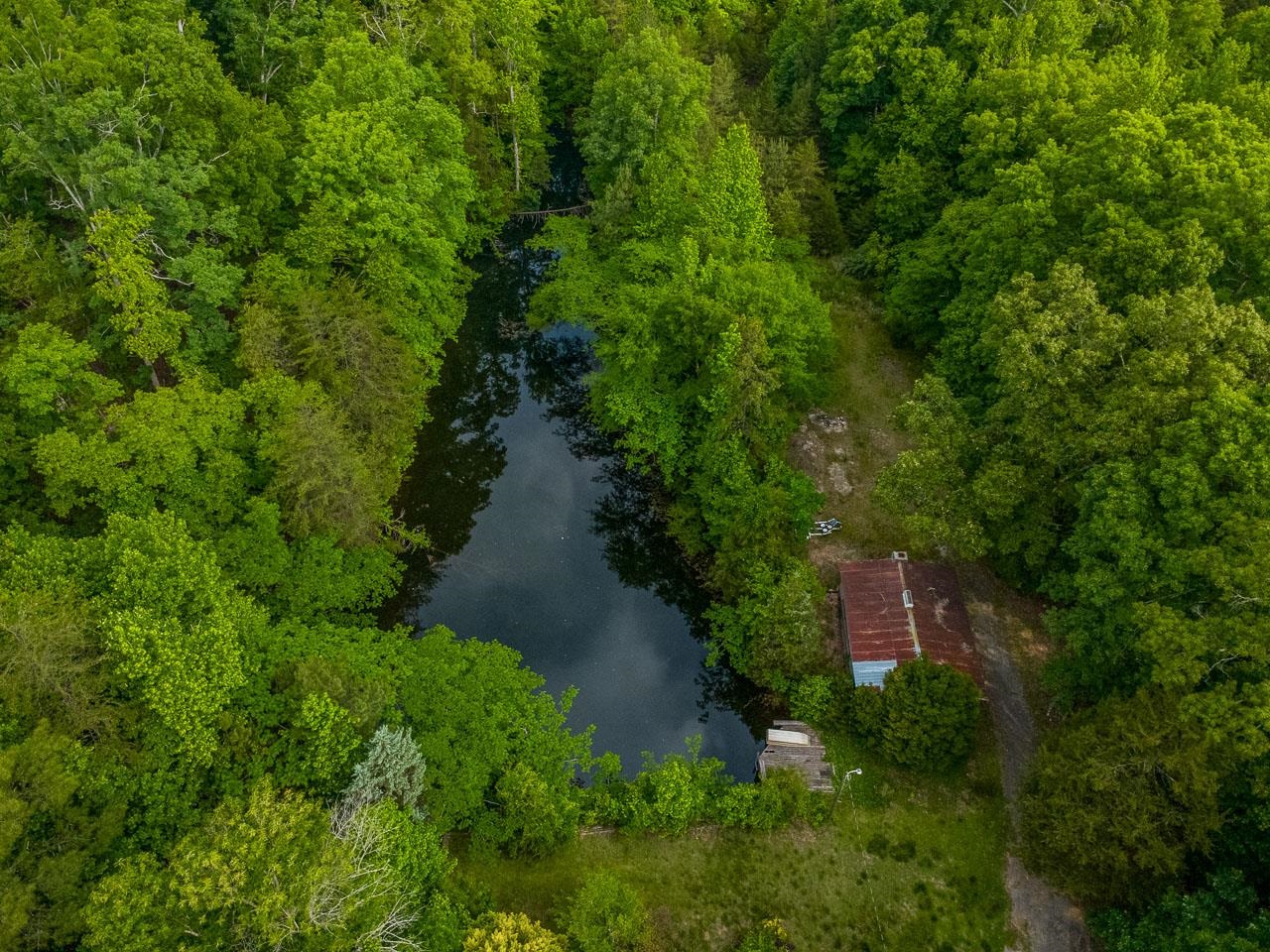 2840 Glenn Springs Road Pauline, SC 29374 - Photo 3 of 26