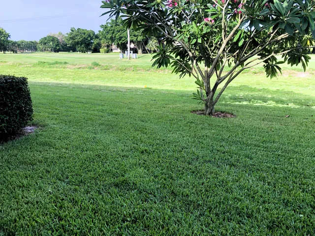 a view of a city with lush green forest