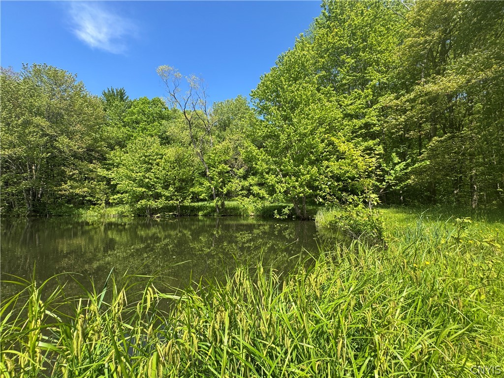 1689 Hillsboro Road Camden, NY 13316 - Photo 41 of 42