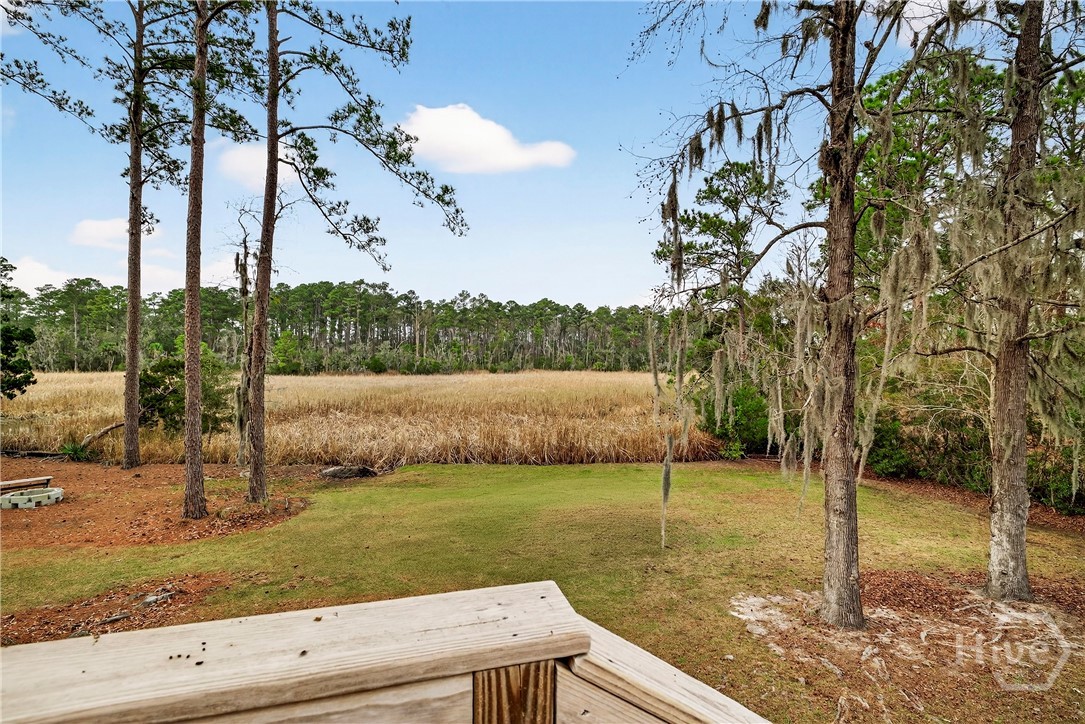 314 Mill Run Road Richmond Hill, GA 31324 - Photo 28 of 72 View from Second Story Deck