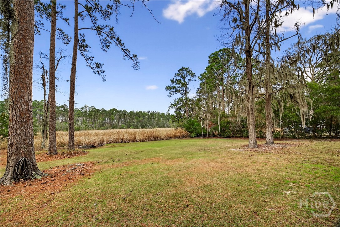 314 Mill Run Road Richmond Hill, GA 31324 - Photo 56 of 72