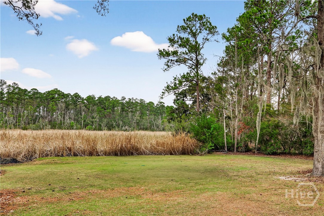 314 Mill Run Road Richmond Hill, GA 31324 - Photo 57 of 72