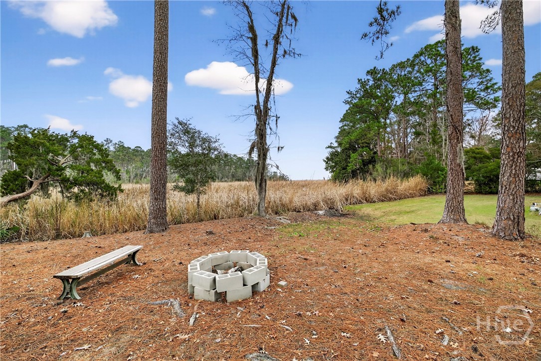 314 Mill Run Road Richmond Hill, GA 31324 - Photo 60 of 72 Fire Pit