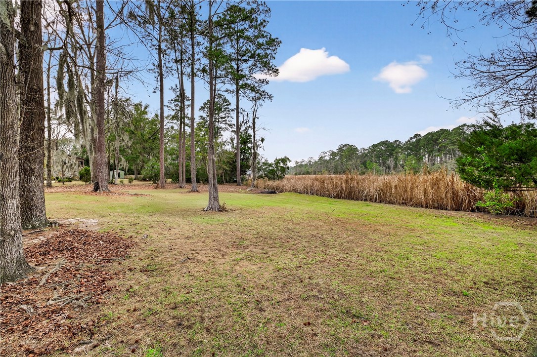 314 Mill Run Road Richmond Hill, GA 31324 - Photo 62 of 72