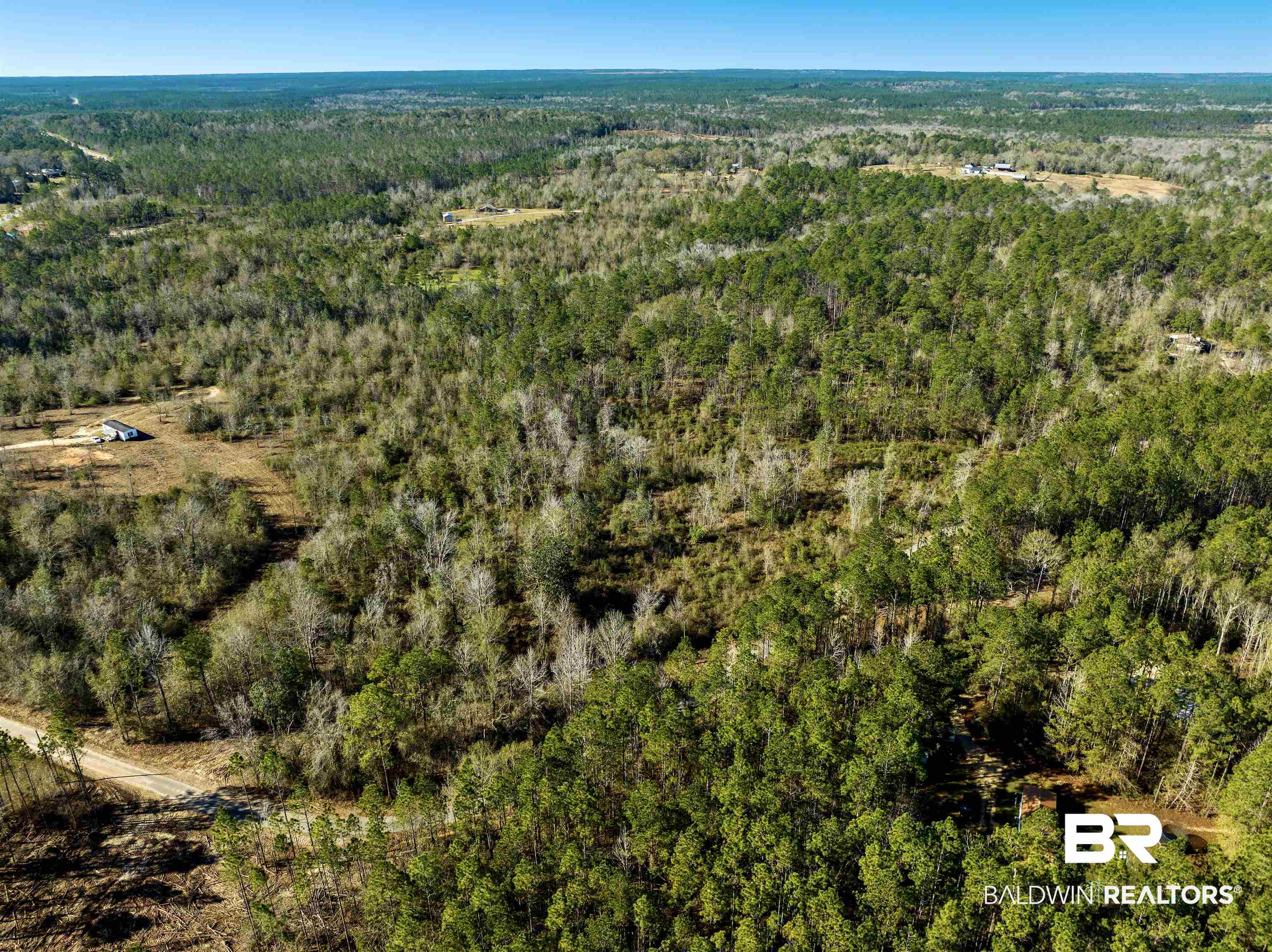 51381 Propst Road Bay Minette, AL 36507 - Photo 12 of 18