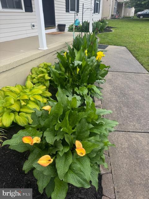 1249 Sassafras Drive Vineland, NJ 08360 - Photo 29 of 34