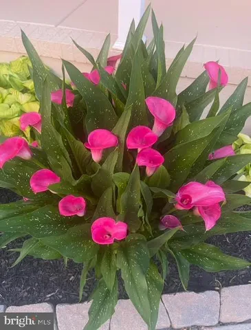 $359,900 | 1249 Sassafras Drive, Vineland, NJ 08360