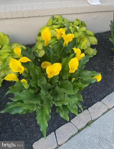 $359,900 | 1249 Sassafras Drive, Vineland, NJ 08360