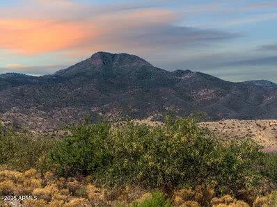 a view of mountain and tree in a field